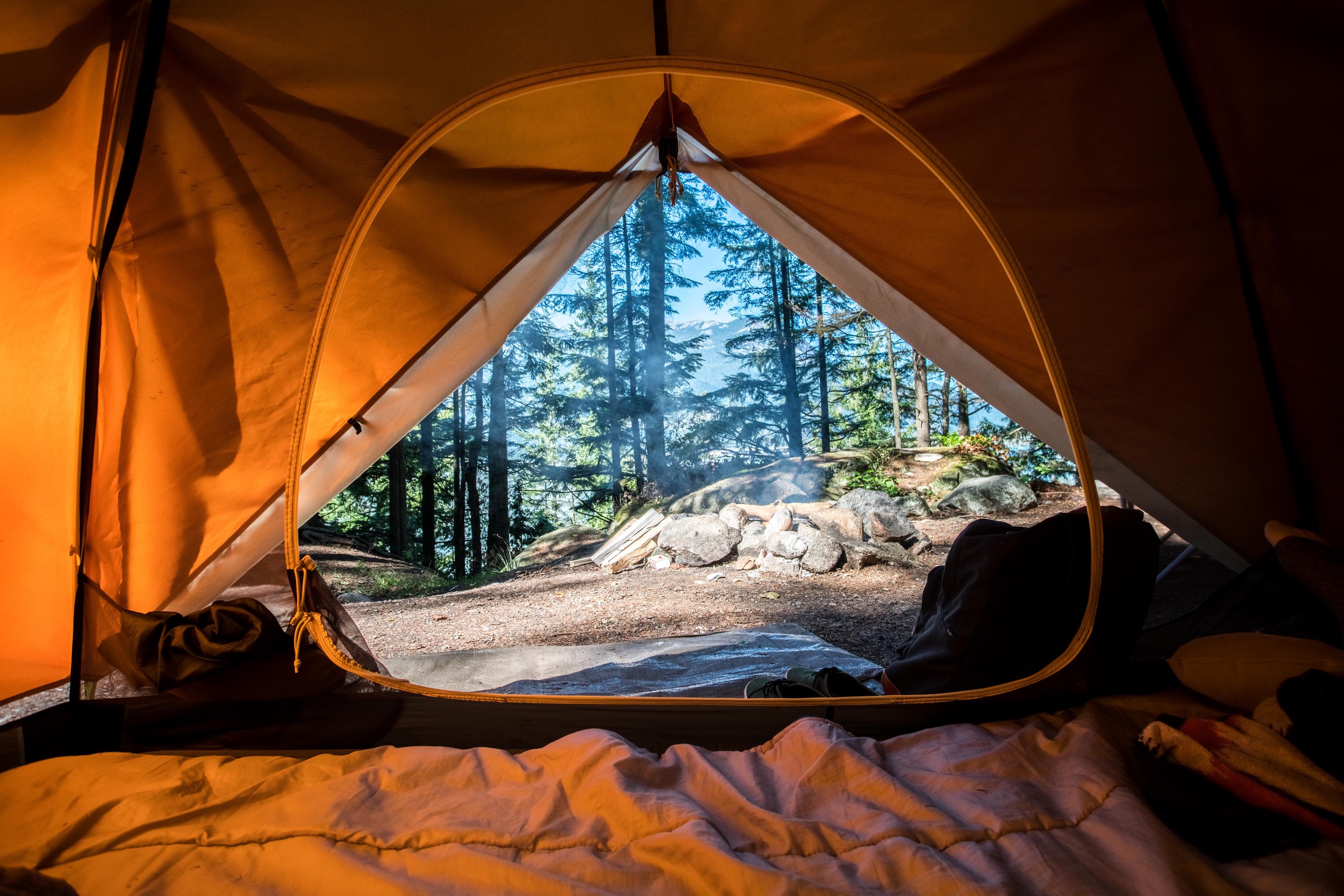 tent view from the inside looking out