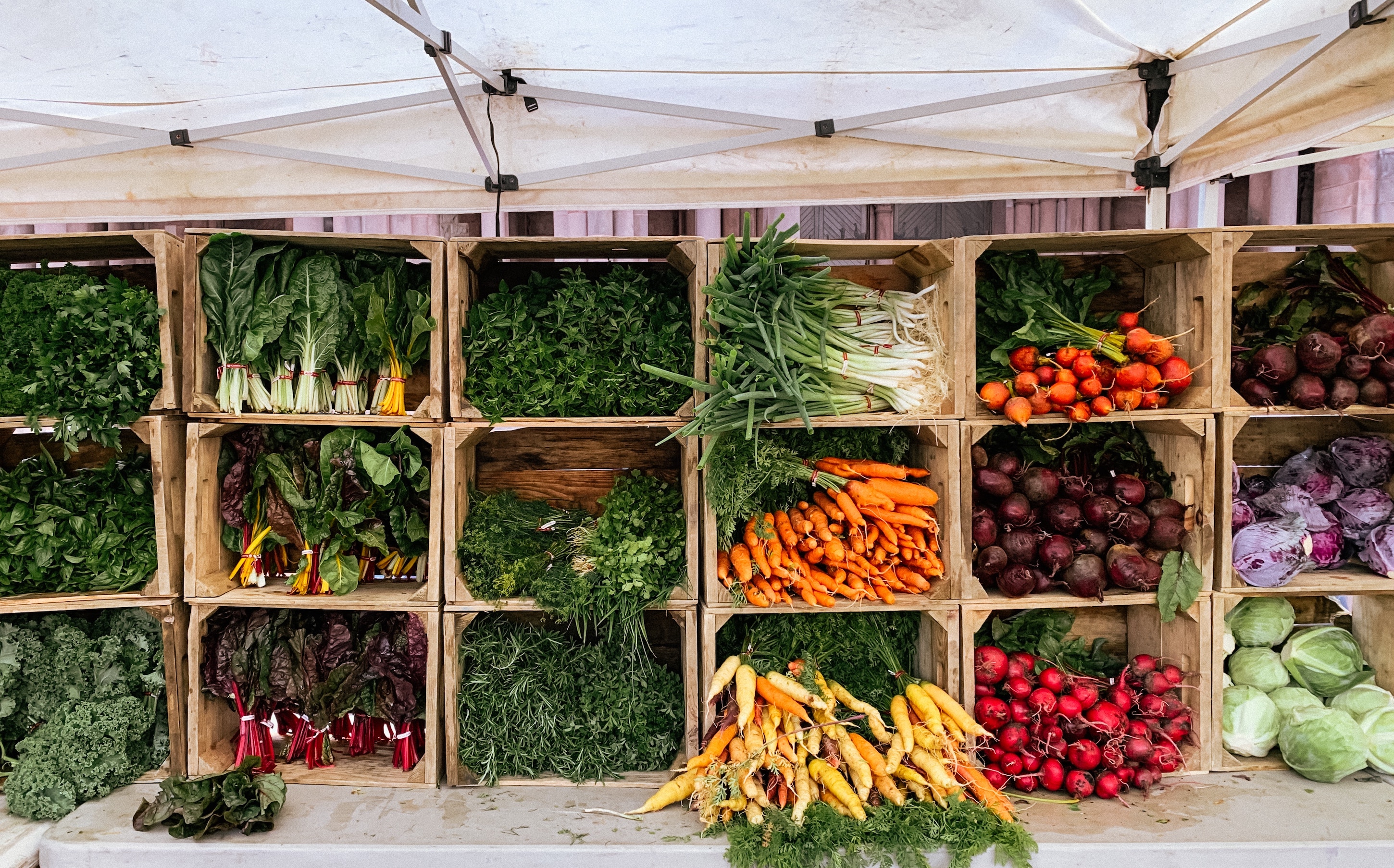 Toronto farmers market